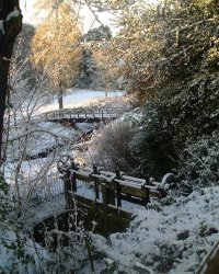 View while walking in Styal Country Park